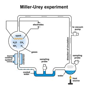 Diagram of the Miller-Urey experiment
