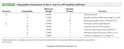 Table of ATP synthase subunits