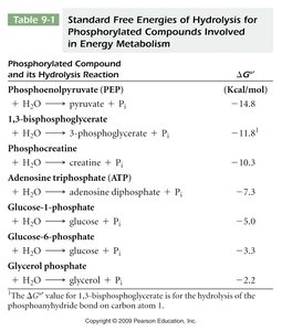 Table of standard free energies of hydrolysis