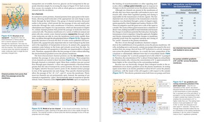 Ion channels and carrier proteins in the plasma membrane