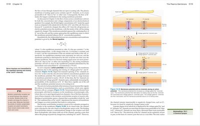 Membrane potential and ion transport