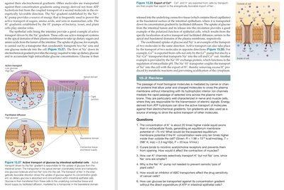 Active transport of glucose and ions in epithelial cells