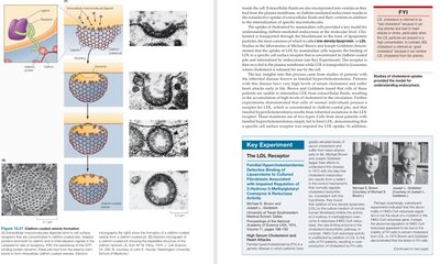 Clathrin-coated vesicle formation