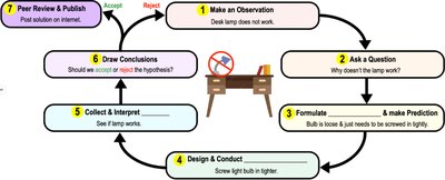 Scientific Method Example