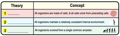 Basic Theories of Biology