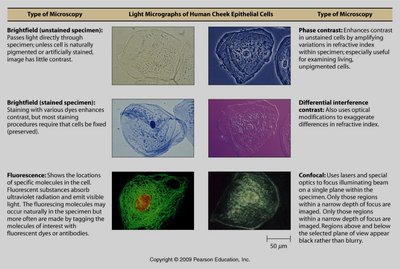 Table of microscopy types and their applications