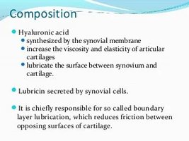 Diagram of a synovial joint showing cartilage and synovial fluid