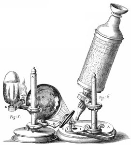 1600s microscope