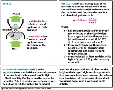 Diagram explaining lenses, resolution, and numerical aperture in microscopy