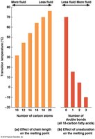 Effect of chain length and unsaturation on melting point