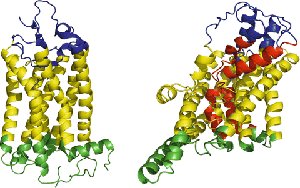 Beta-barrel membrane-spanning structure