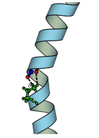 Alpha helix structure