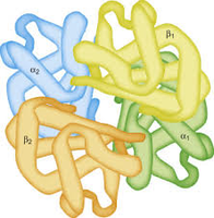 Quaternary structure of a protein complex