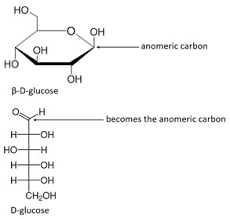 Alpha and beta glucose linkages