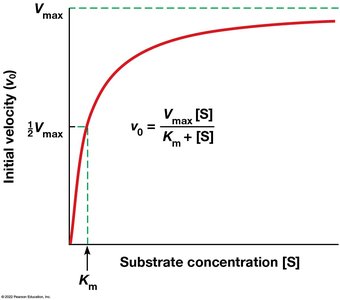 Michaelis-Menten curve and equation