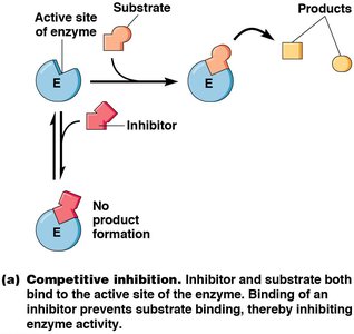 Competitive inhibition kinetics