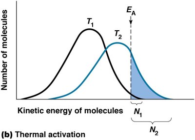 Normal distribution of kinetic energy and effect of temperature
