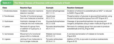 Table of major enzyme classes