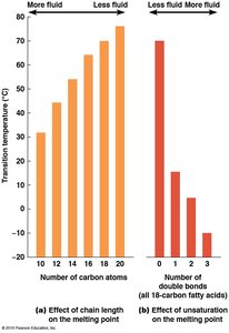 Effect of chain length and unsaturation on melting point