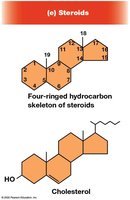Structure of steroids and cholesterol
