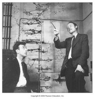 Historical image of the DNA double helix model