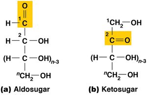 Structures of aldosugar and ketosugar