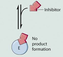 Competitive inhibitor binding to enzyme active site, preventing product formation