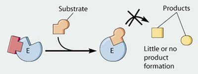 Competitive inhibition: inhibitor blocks substrate binding, no product formation