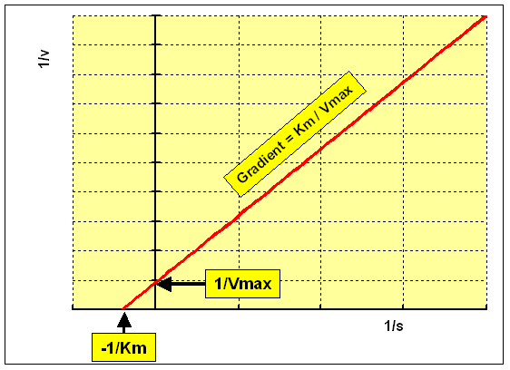 Effects of inhibition on enzyme kinetics: competitive vs noncompetitive