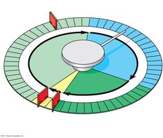 Cell cycle checkpoints
