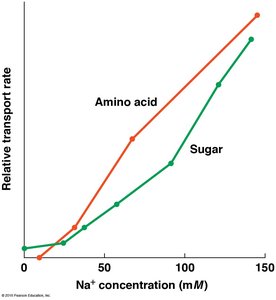 Relative transport rate vs Na+ concentration