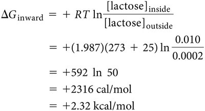 ΔG calculation for lactose uptake