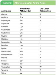 Amino acid abbreviations table