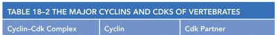 Table of major cyclins and Cdks of vertebrates