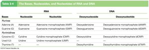 Adenosine and its phosphorylated forms
