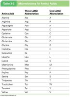 Amino acid abbreviations table