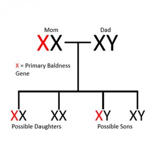 Pedigree showing X-linked inheritance