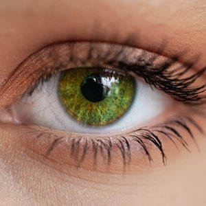 Close-up of green eye