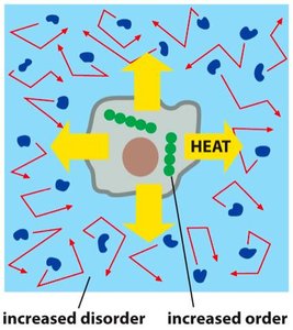 Diagram showing increased disorder and increased order with heat flow
