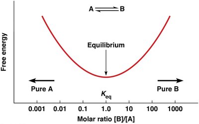 Free energy curve as a function of molar ratio, showing equilibrium