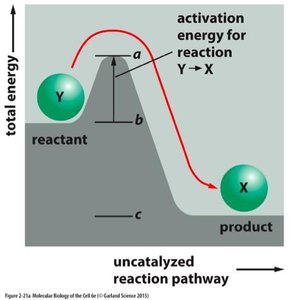 Activation energy diagram for a reaction