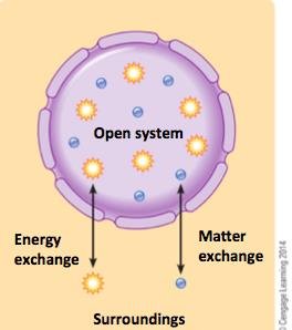 Open system: exchange of energy and matter with surroundings