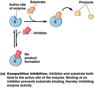 Competitive inhibition diagram