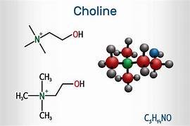 Choline structure and formula