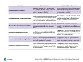 Table of membrane lipid classes, structures, and functions