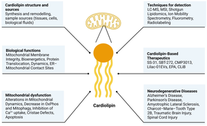 Cardiolipin functions, dysfunction, and disease associations
