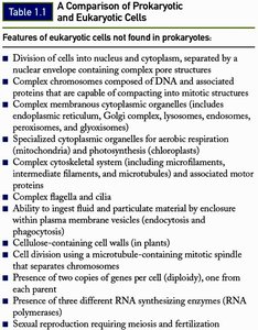 Table: Features unique to eukaryotes