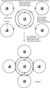 Covalent bonding in methane