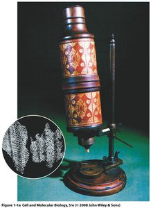 Early microscope and cork cells