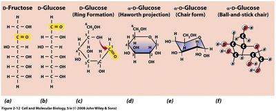 Glucose and fructose structures